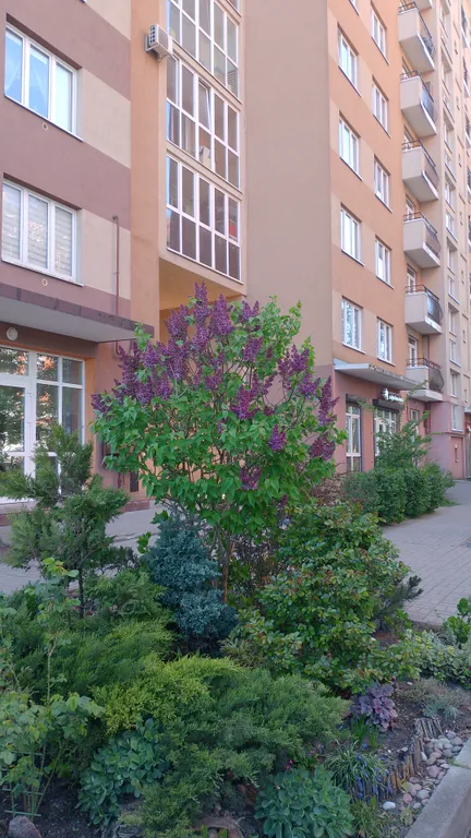 Квартира Квартира Аппартаменты у Королевских Ворот — Калининград