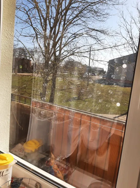 Квартира Квартира у моря — Пионерский