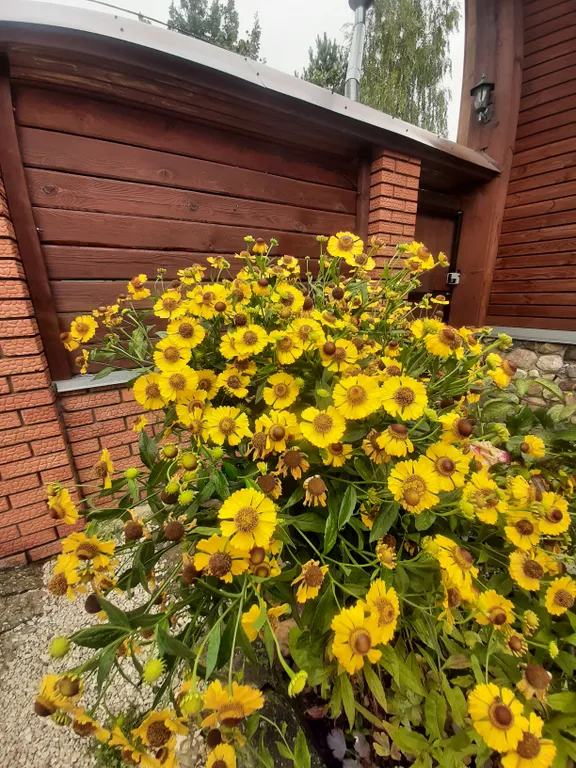 Суздальское подворье с русской баней