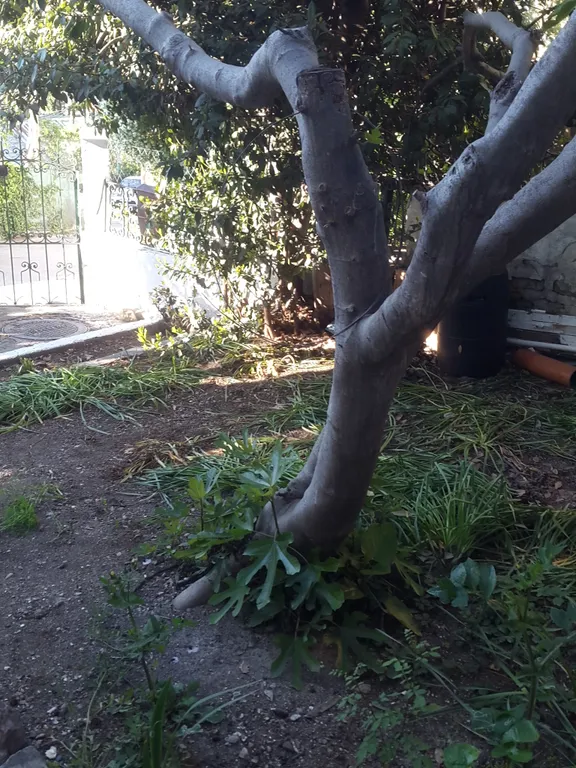 Апартаменты с видом на море