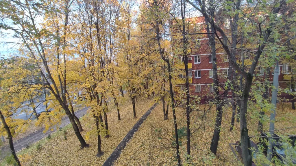 Квартира Светлая квартира — Москва