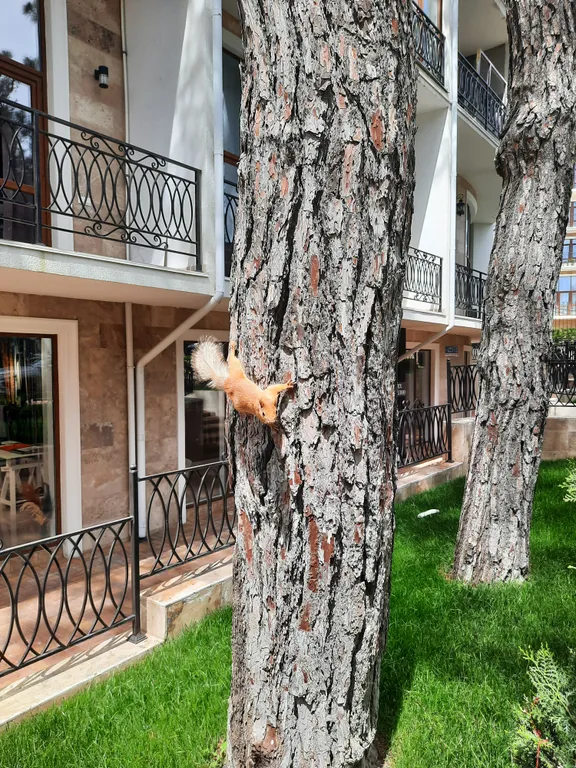 Квартира Апартаменты в ЖК Изумрудный город — Геленджик