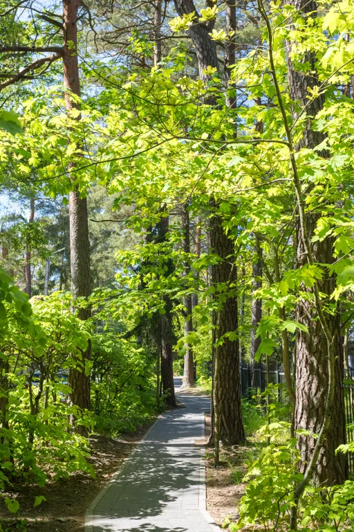 Семейные апартаменты "Гобелен" с балконом | 5 гостей, 3 спальные зоны