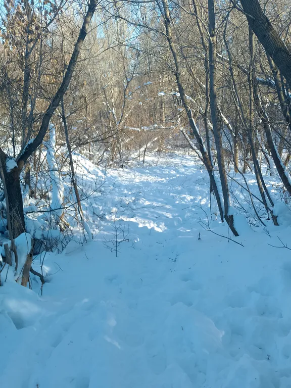 Большой дом с камином и новой баней