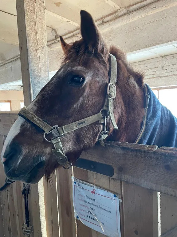 Коттедж Ванкувер в Коробицыно-Вилладж