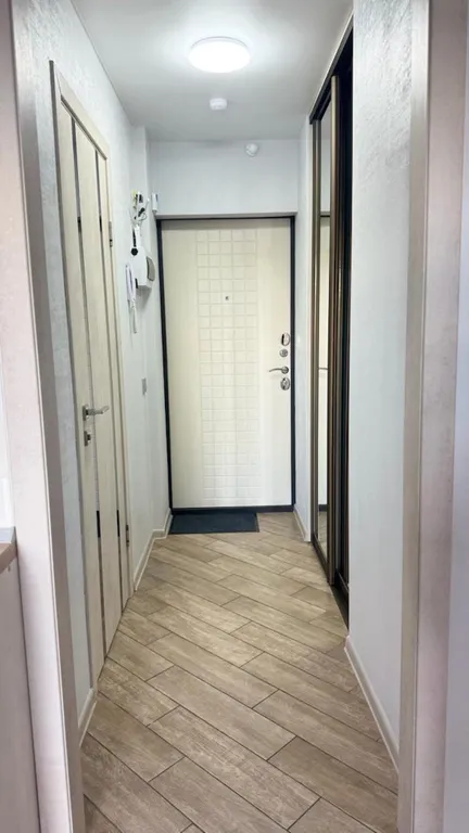 ЖК Фрукты Виноград 1003