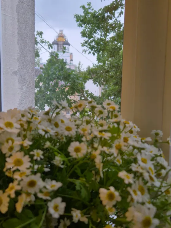 Уютная квартира в центре Пскова