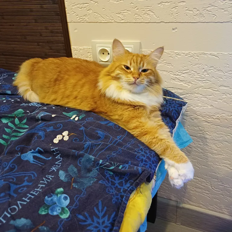 Квартира Квартира Уголок мечтателя (метро Проспект Славы) — Санкт-Петербург