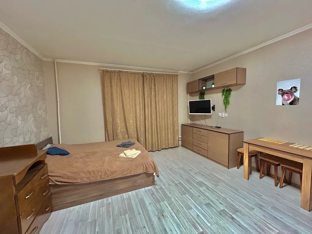 Уютная студия в Кучино