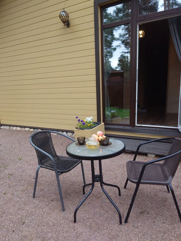 Дом с камином и панорамными окнами в сад