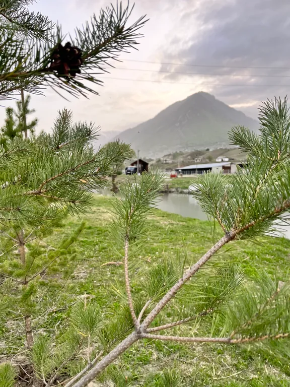 Коттедж на берегу реки и озера