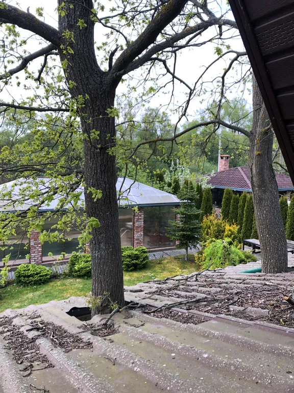 Коттедж Уютный дом у моря — Зеленоградск