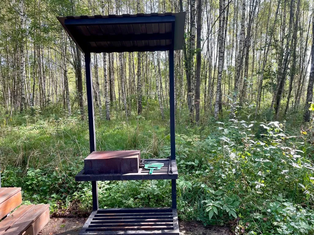 Загородный дом на участке 50 сот