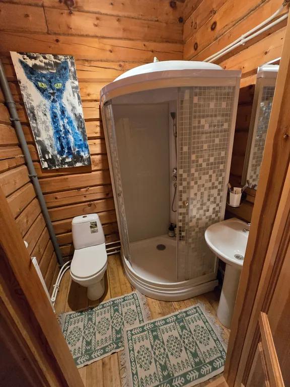 Кедровый дом на Телецком озере