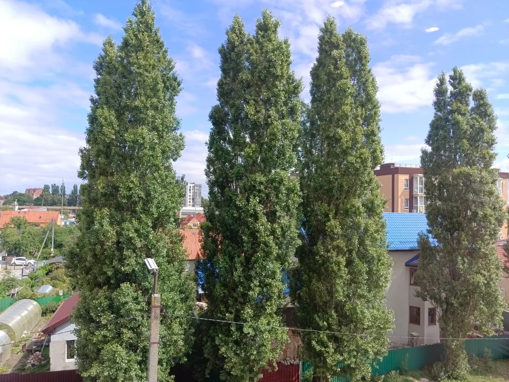 Квартира 1-комнатная Квартира — Пионерский