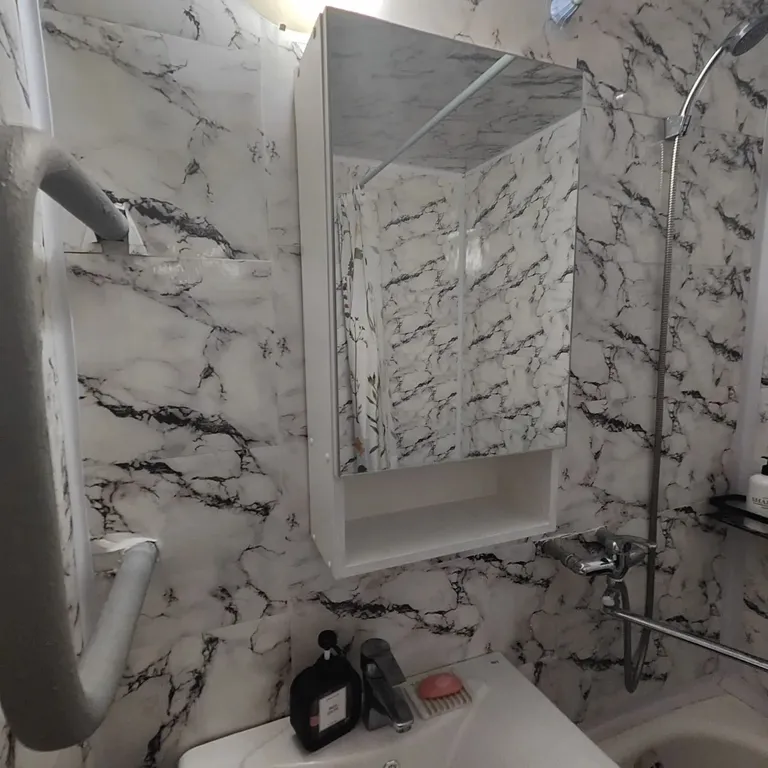 Уютная однокомнатная квартира около музея Чайковского