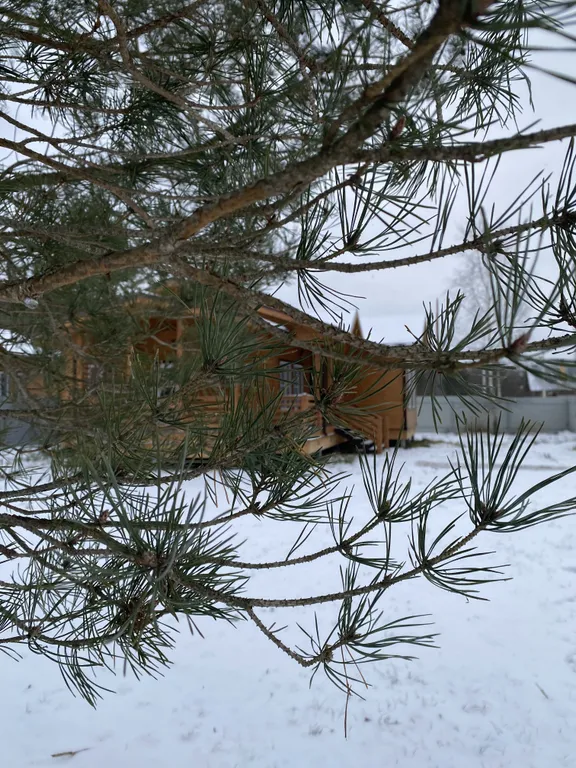 Коттедж Уютный домик с сауной возле реки Ока — аренда посуточно в Таруса