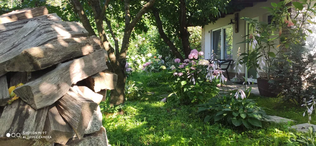 Студия с видом на сад