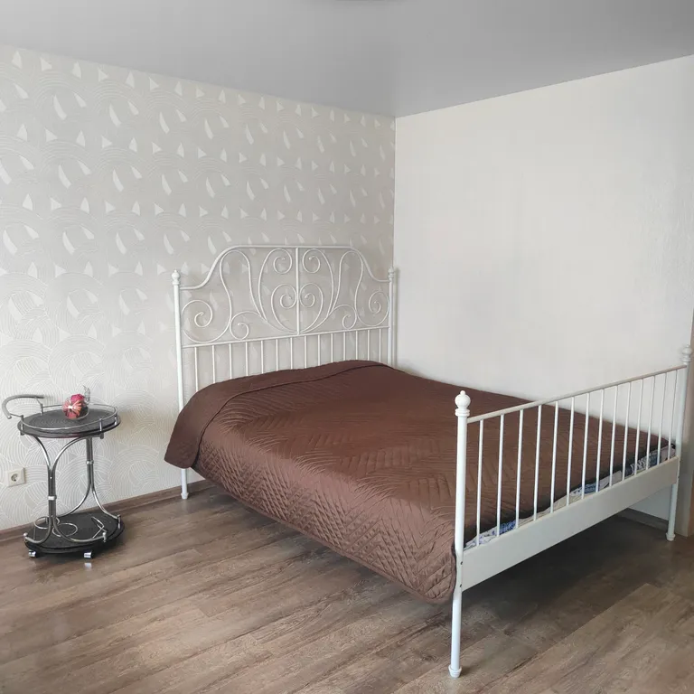 Просторная квартира в центре Петрозаводска