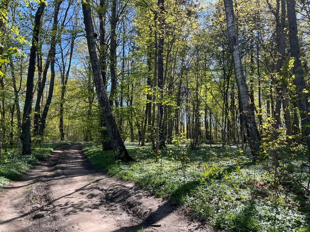 Уютный таунхаус у моря