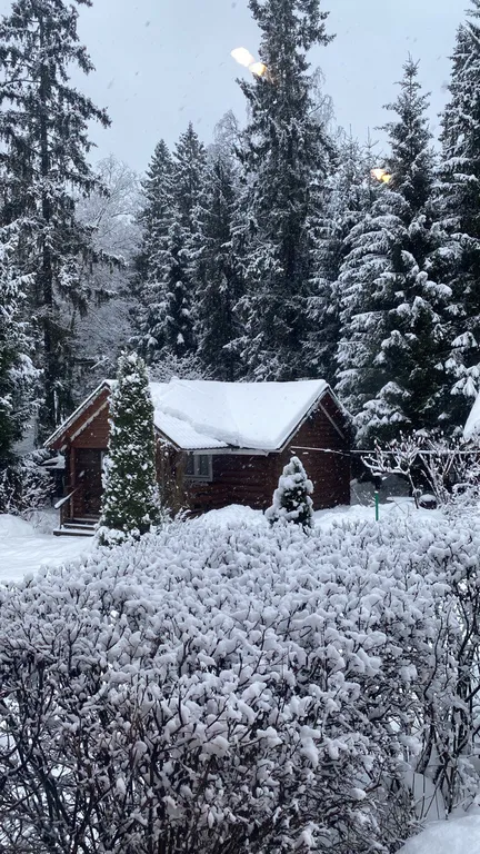 Коттедж Домик у леса с баней на дровах — Алексино