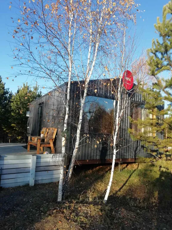 Дом в лесу с бассеином