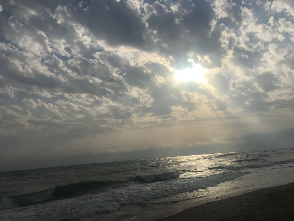 Апартаменты с видом на море Негрустинка