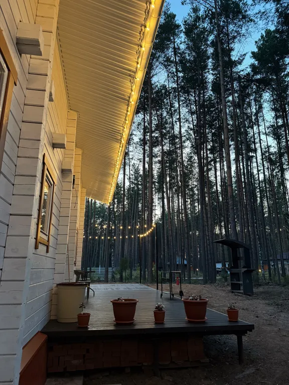 Белый дом и сосны