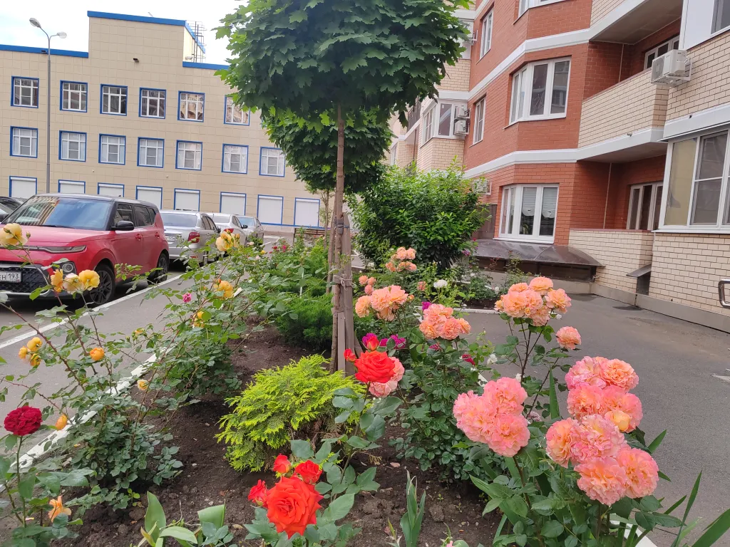 Квартира Комфортная квартира близко к центру, ТЦ Красная площадь, Вузам, ККБ — Краснодар