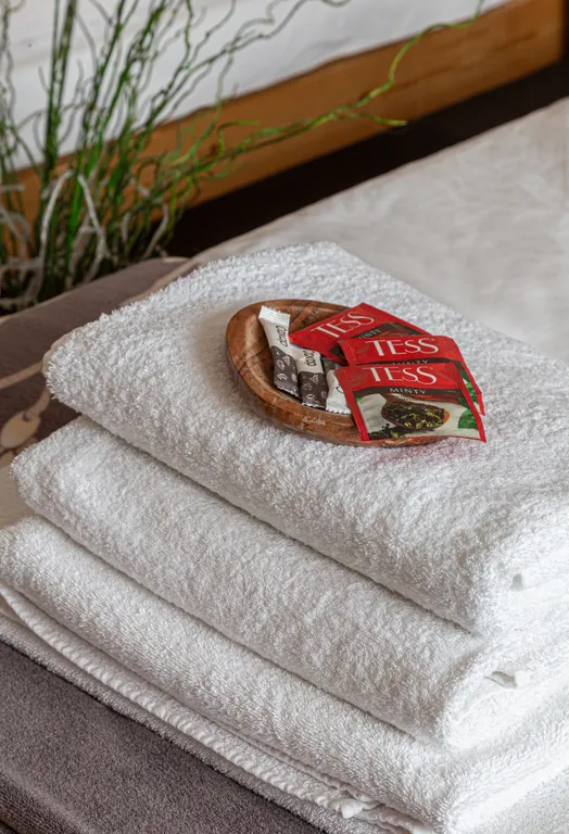 Трёхместный номер с общим санузлом