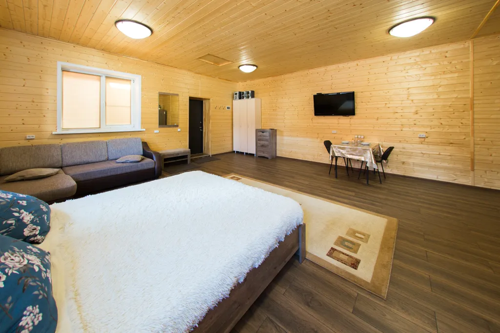 Дом - Студия с двуспальной кроватью и раскладным диваном