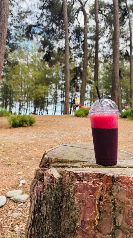 Дом-шалаш с собственной кухней Лдзаа