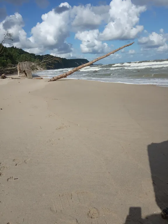 Апартаменты у моря