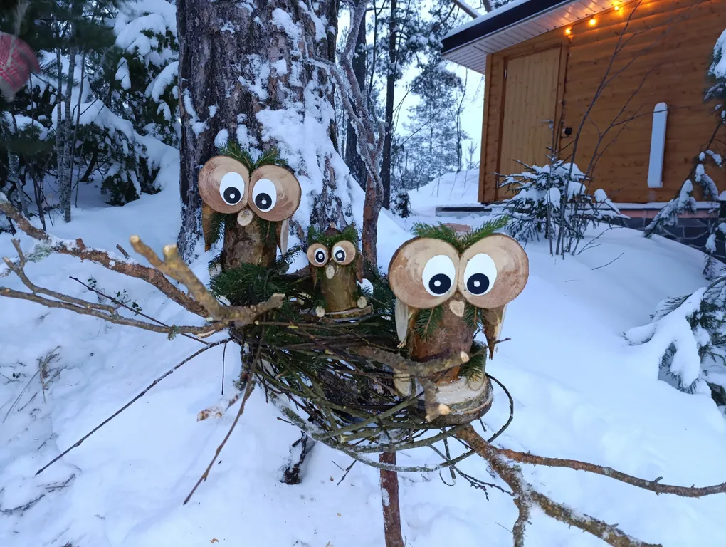 Коттедж Коттедж с камином на хуторе Янтула — Беличье