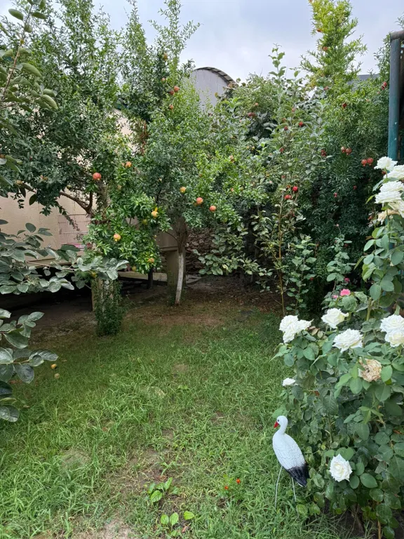 Уютный дом для семейного отдыха