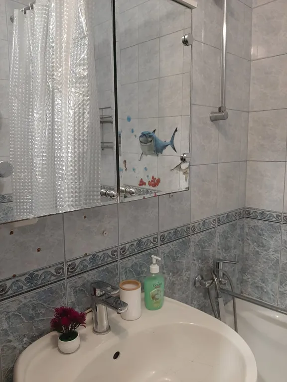 Большая семейная квартира в центре города