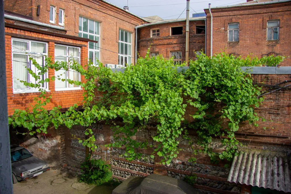 Квартира Квартира Студия в историческом центре Владикавказа — Владикавказ