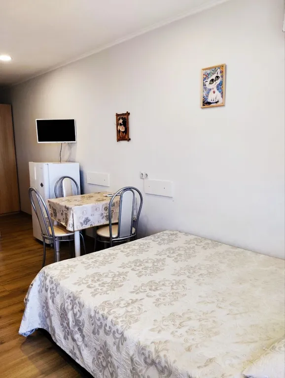 Уютная Белая студия с видом на море