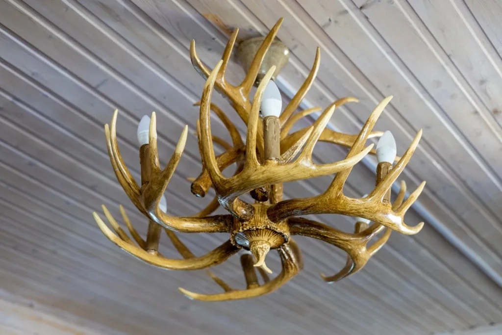 Коттедж Апельсин