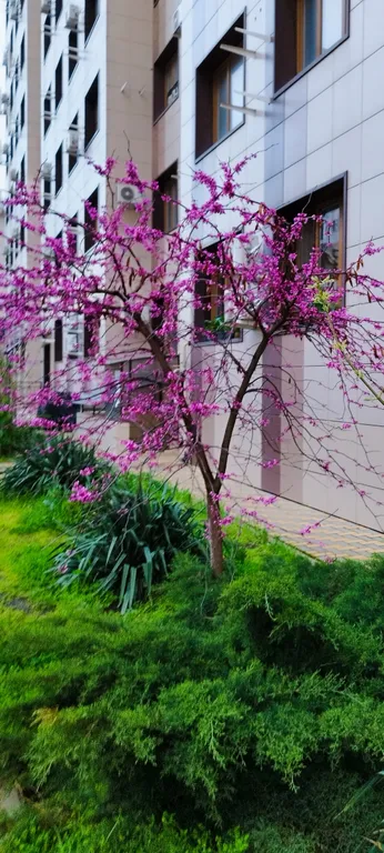 Новая, уютная квартира в 10 минутах от центра на берегу р. Кубань