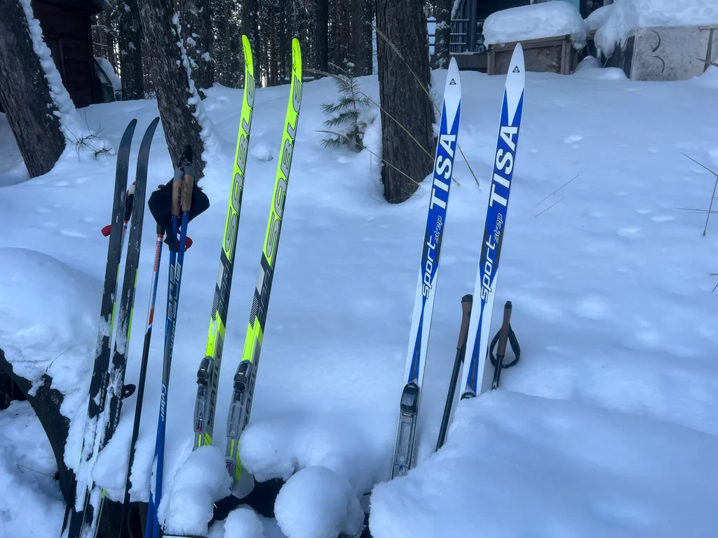 Дом 7 в лесу у реки