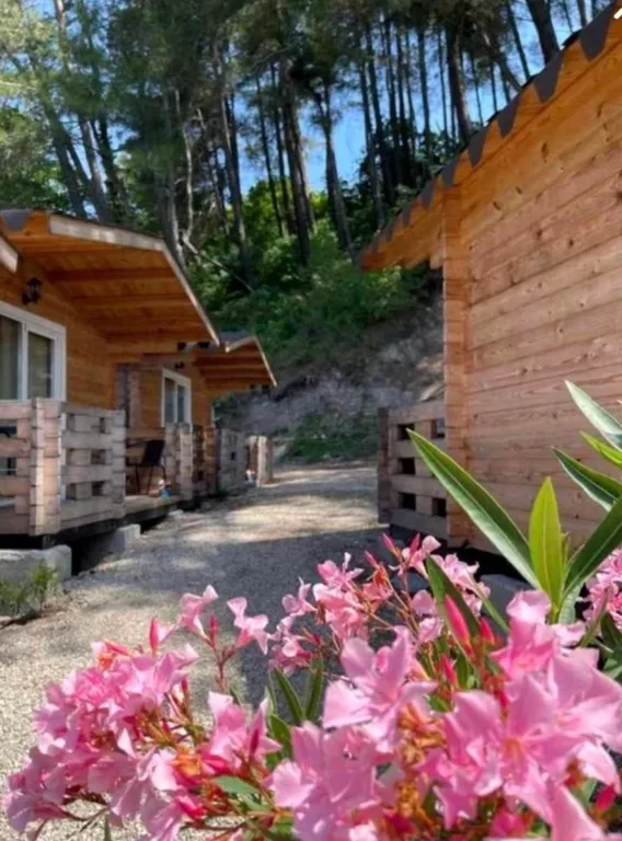 Домики на берегу моря