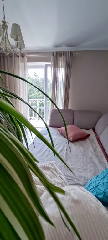 Квартира Квартира ОК-Светлик — Светлогорск