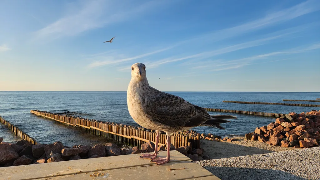 Квартира Роскошные апартаменты в самом сердце Светлогорска — Светлогорск