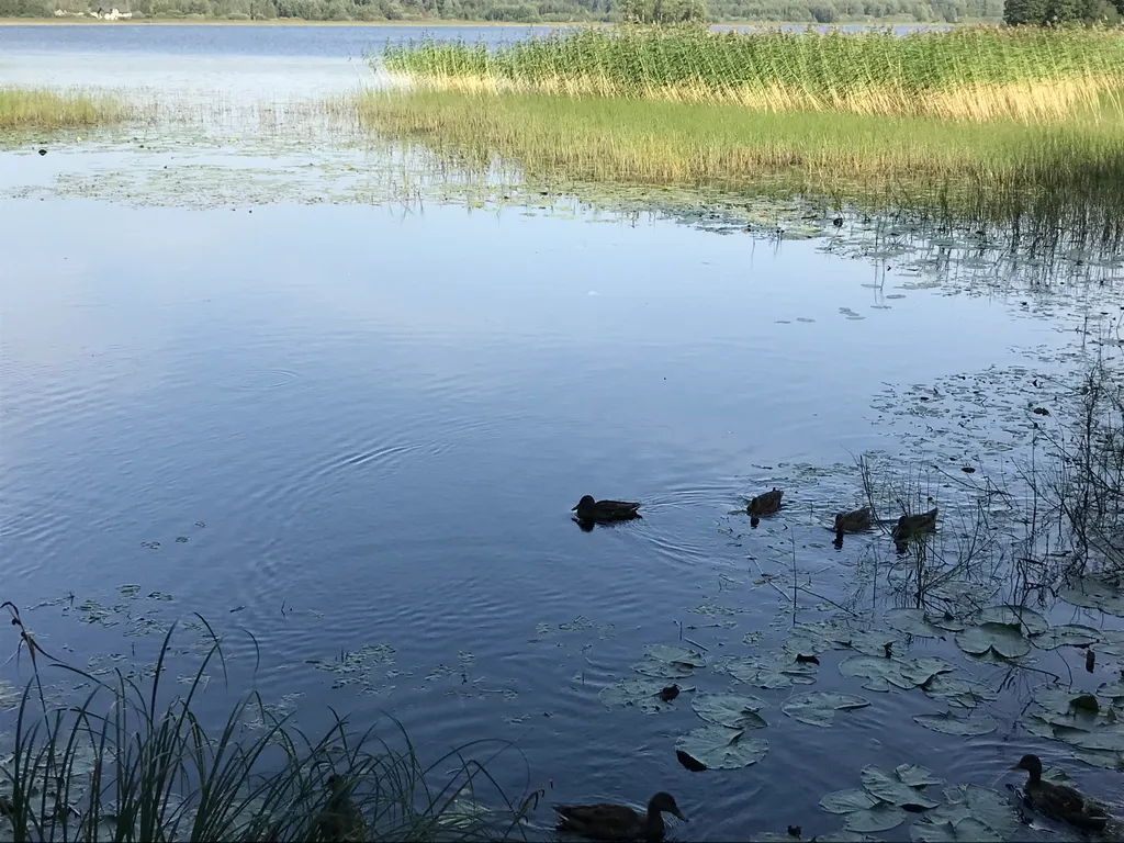 Чудесное место у озера с камином и русской баней