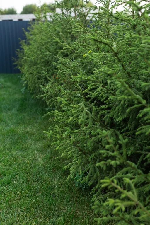 Коттедж 3-комнатный Дом — Манушкино