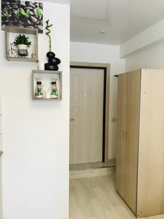 Уютная студия Бамбук на площади Маркса