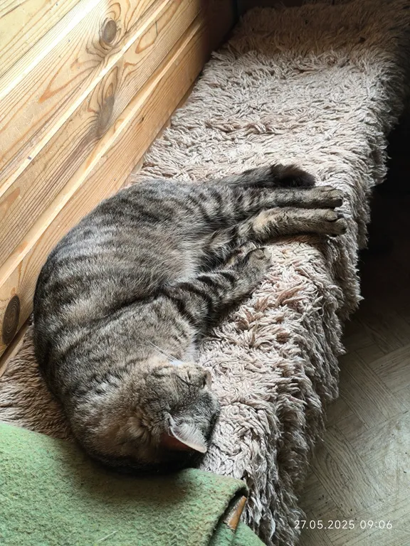 Дом на берегу с видом на Селигер