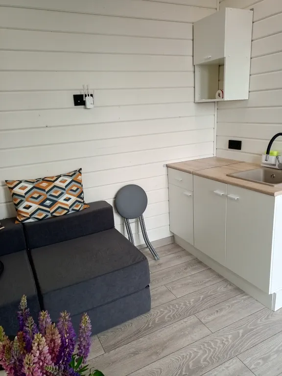 Уютный дом с сауной и купелью для отдыха