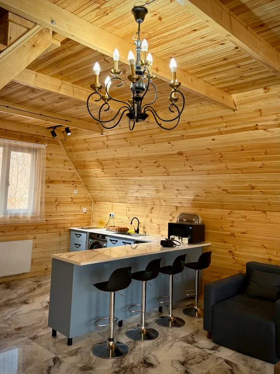 Шале Кедари